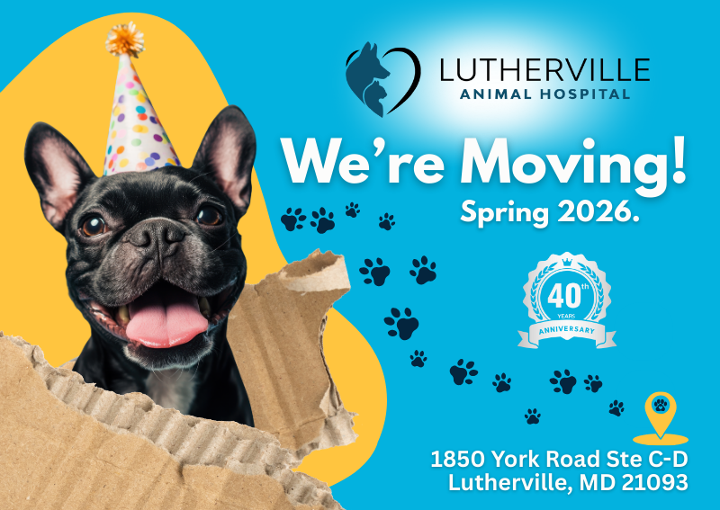 Carousel Slide 1: Learn More >>