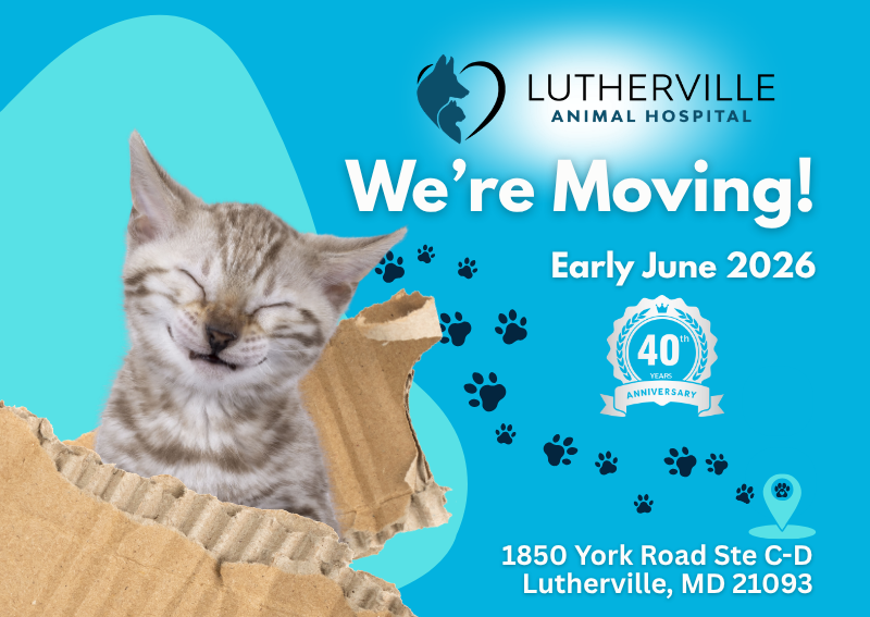 Carousel Slide 1: Learn More >>